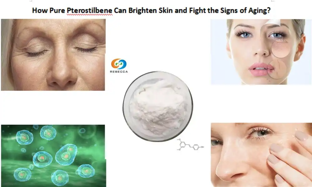How Pure Pterostilbene Can Brighten Skin and Fight the Signs of Aging?